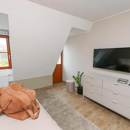 Weinquartier Weingarten Dachloft, 90 Qm, Altstadt, Kueche, 3 Schlafzimmer, Dachterrasse Appartement